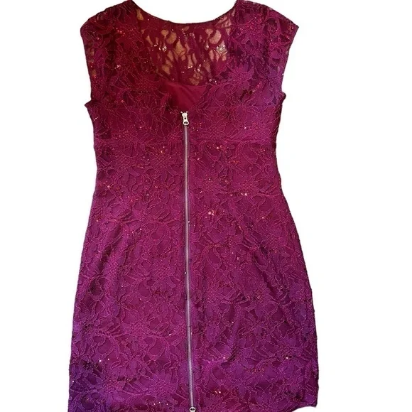 Magenta Lace Sequin Dress by Adrianna Papell - Picture 3 of 8